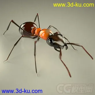 3D打印模型红林蚁、蚂蚁的图片