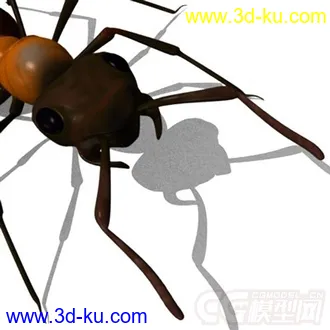 3D打印模型红林蚁、蚂蚁的图片