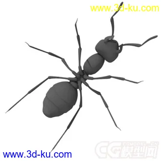 3D打印模型红林蚁、蚂蚁的图片