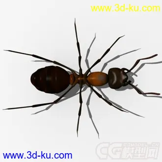 3D打印模型红林蚁、蚂蚁的图片