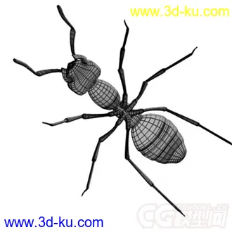3D打印模型红林蚁、蚂蚁的图片