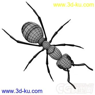 3D打印模型红林蚁、蚂蚁的图片
