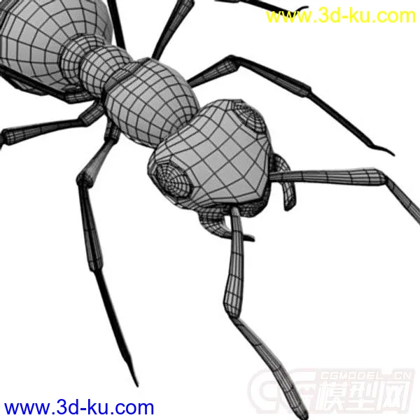 红林蚁、蚂蚁模型的图片8
