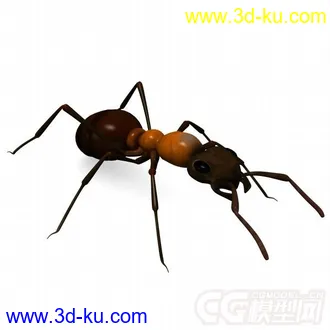 3D打印模型红林蚁、蚂蚁的图片