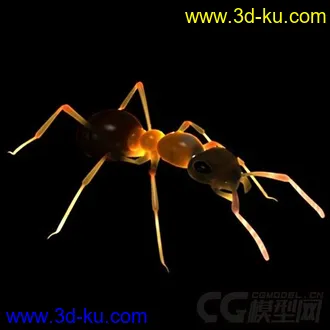 3D打印模型红林蚁、蚂蚁的图片