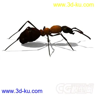 3D打印模型红林蚁、蚂蚁的图片