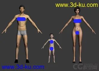 全套人体基础模型带材质，OBJ文件 需要自己导入（每个压缩包一个模型）的图片