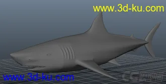 3D打印模型鲨鱼一只，换积分.....的图片