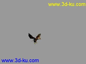 3D打印模型老鹰--- 写实逼真带各种动作的图片