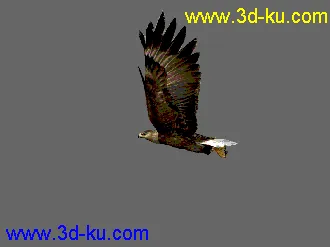 3D打印模型老鹰--- 写实逼真带各种动作的图片