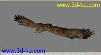 3D打印模型老鹰--- 写实逼真带各种动作的图片