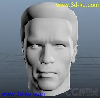 斯瓦辛格模型的图片