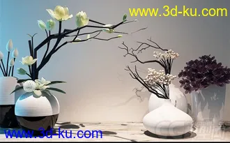 花瓶兰花装饰模型的图片