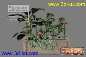 精选十三套低面花坛模型免费分享。的图片