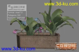 精选十三套低面花坛模型免费分享。的图片