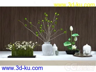 桌面植物小摆设模型的图片