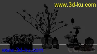 桌面植物小摆设模型的图片