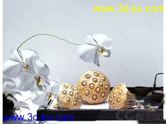 莲蓬装饰摆设模型的图片