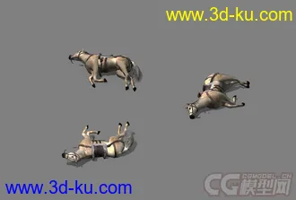 一匹马模型 有动作的图片