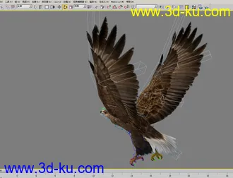 3D打印模型鹰的图片