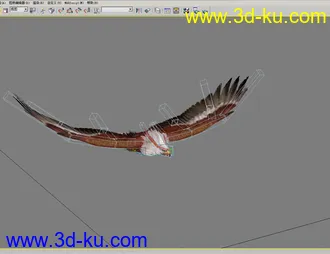 3D打印模型鹰的图片