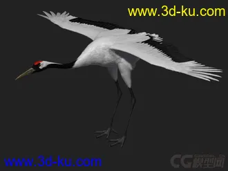 3D打印模型仙鹤的图片