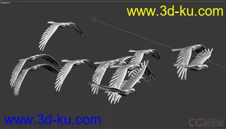 3D打印模型鸽子 海鸥的图片