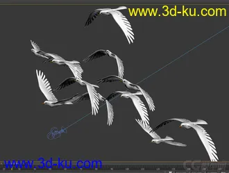 3D打印模型鸽子 海鸥的图片