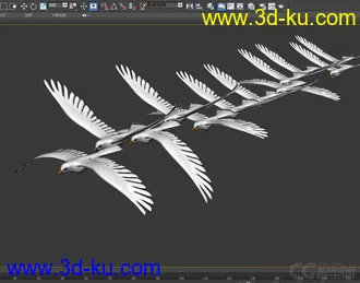 3D打印模型鸽子 海鸥的图片