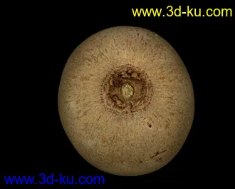 3D打印模型猕猴桃的图片