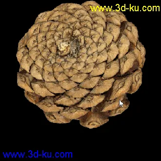 3D打印模型松树塔的图片