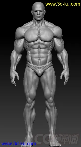 3D打印模型我自己雕刻的肌肉 新手轻喷的图片