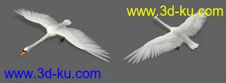 3D打印模型仙鹤的图片