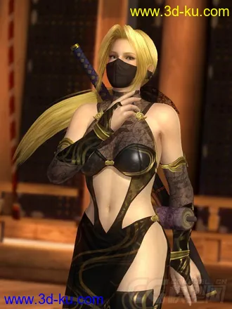 3D打印模型DOA5_LR_Helena_Senran_Kagura  ninja的图片