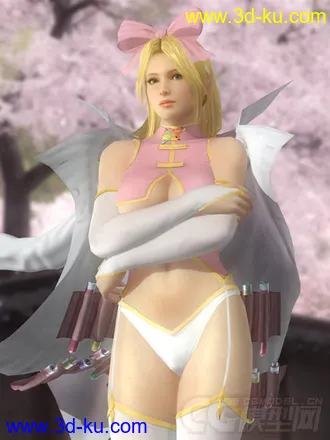 3D打印模型DOA5_LR_Helena_Senran_Kagura  ninja的图片