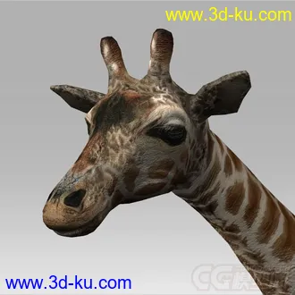 一只 长颈鹿 模型的图片