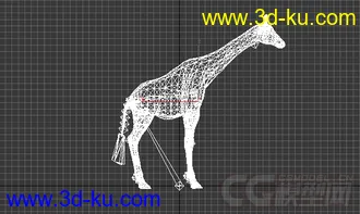 一只 长颈鹿 模型的图片