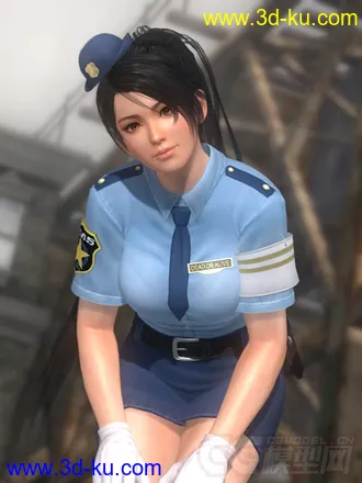 3D打印模型doa5_police_collection的图片