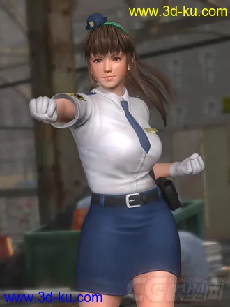 3D打印模型doa5_police_collection的图片