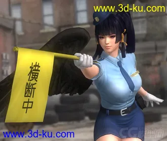3D打印模型doa5_police_collection的图片