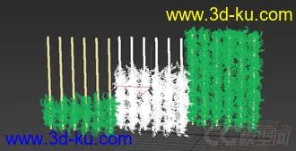 树藤植物模型的图片