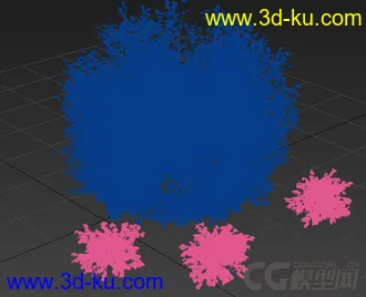 一株小灌木 植物模型的图片