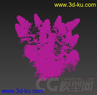 一棵小灌木植物 模型的图片