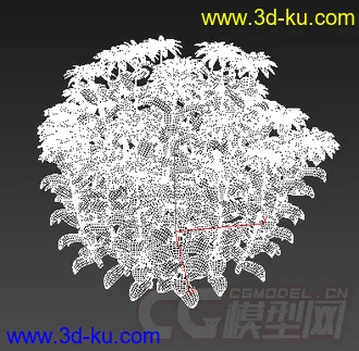 一小片的小雏菊模型的图片