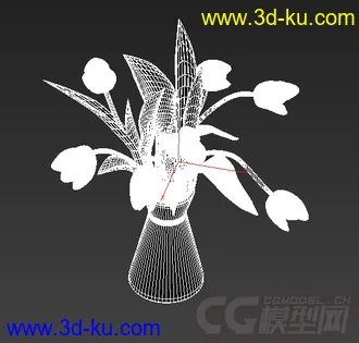 一束白色郁金香模型的图片