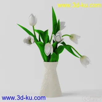 一束白色郁金香模型的图片