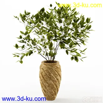 一棵小树苗模型的图片
