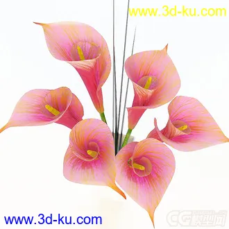 一束花模型的图片
