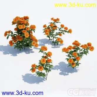四株花草模型的图片
