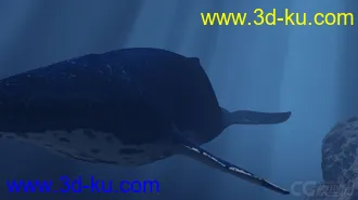 3D打印模型影视级海底鲸鱼动画的图片